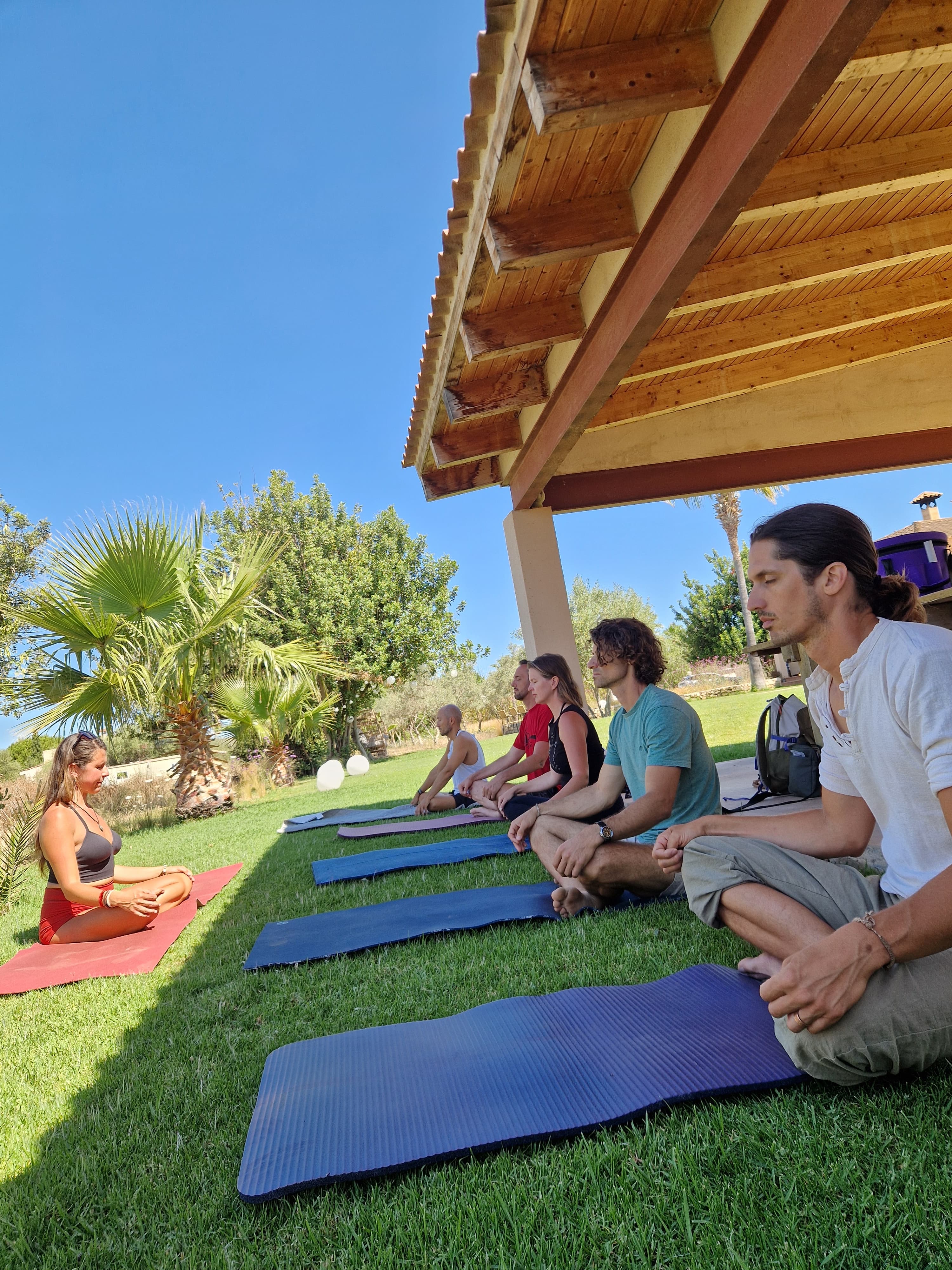 Group of people practicing meditation on yoga mats on a sunny lawn under palm trees.